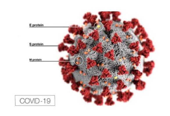 COVID-19對(duì)歐盟MDR,SCIP廢物框架指令的影響
